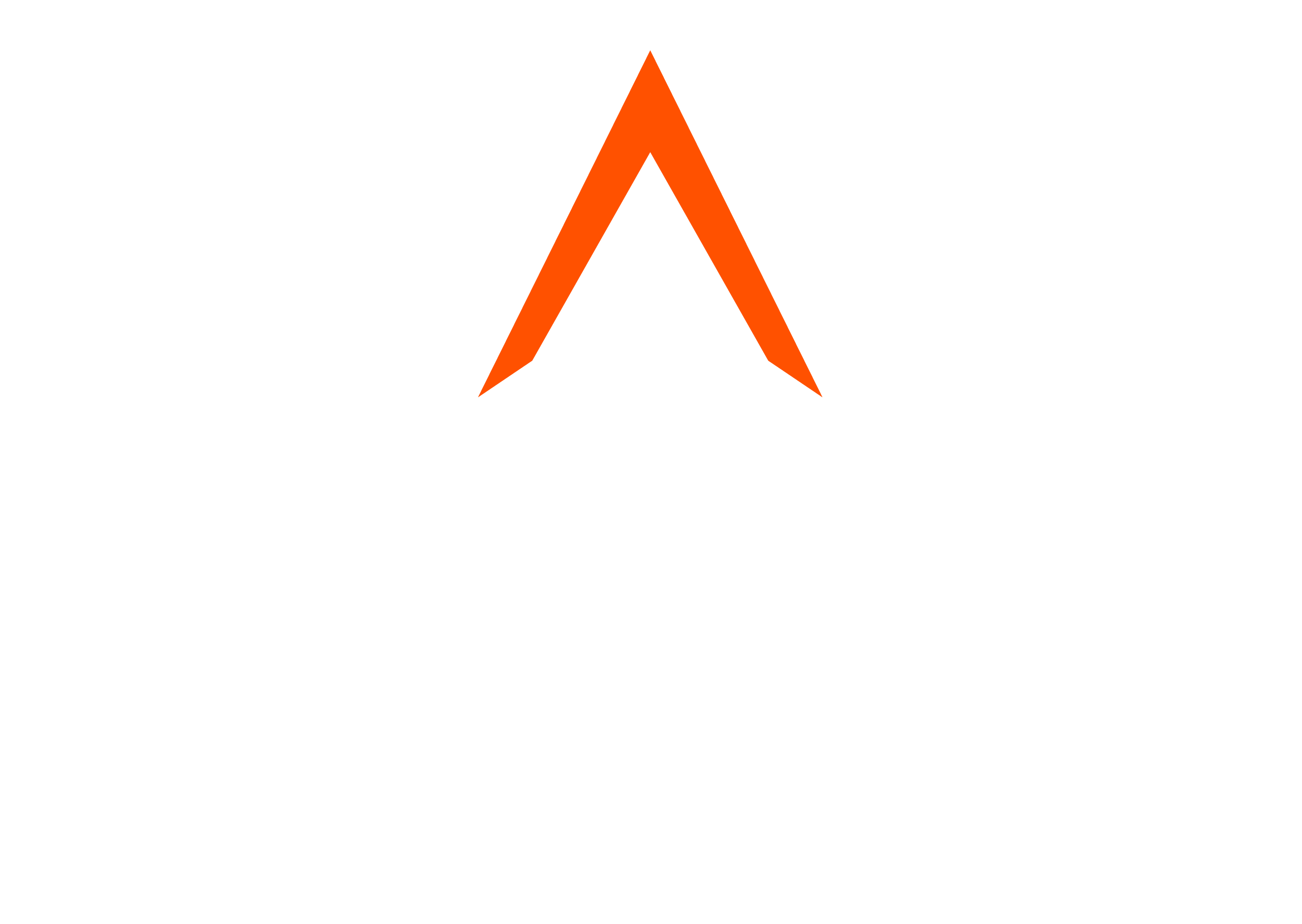 Malta Dynamics