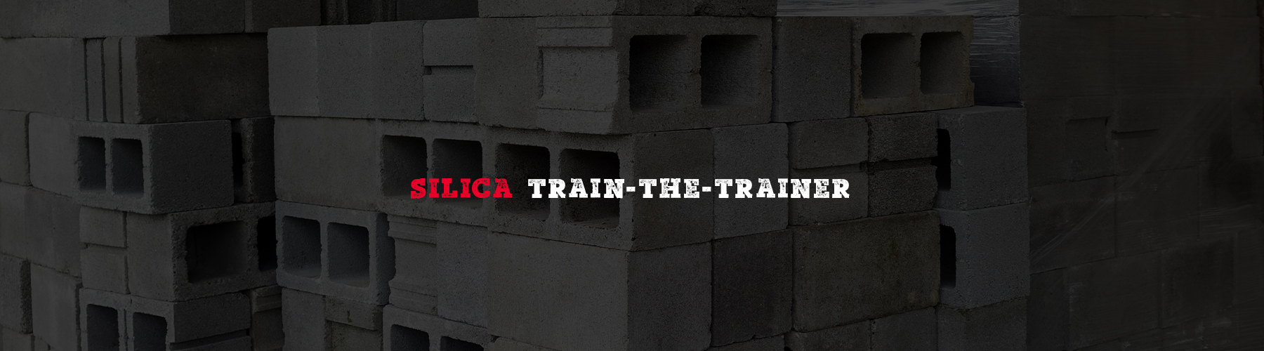 Slide Image - Silica Train-The-Trainer